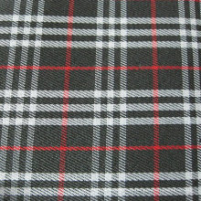 Oxford 600d Plaid Printing Polyester Fabric (XL-X138)